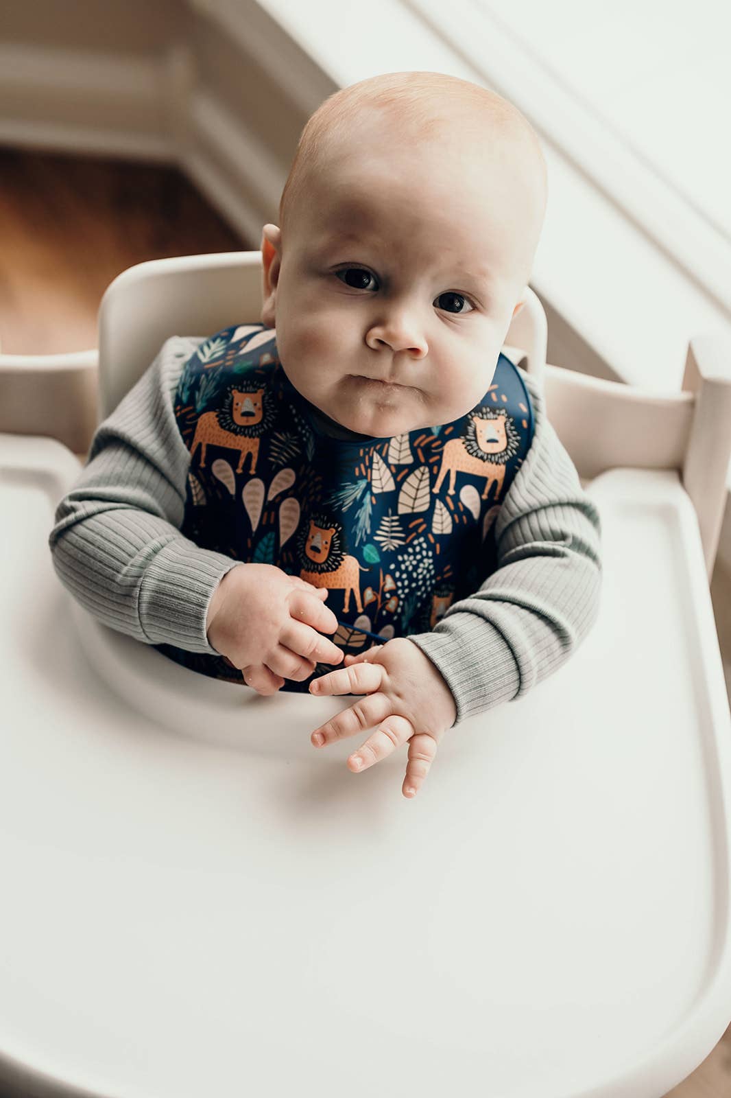 Three Little Tots - Wholesale Bib - Baby - Zoo Lion Print Silicone Bib with Crumb Catcher1