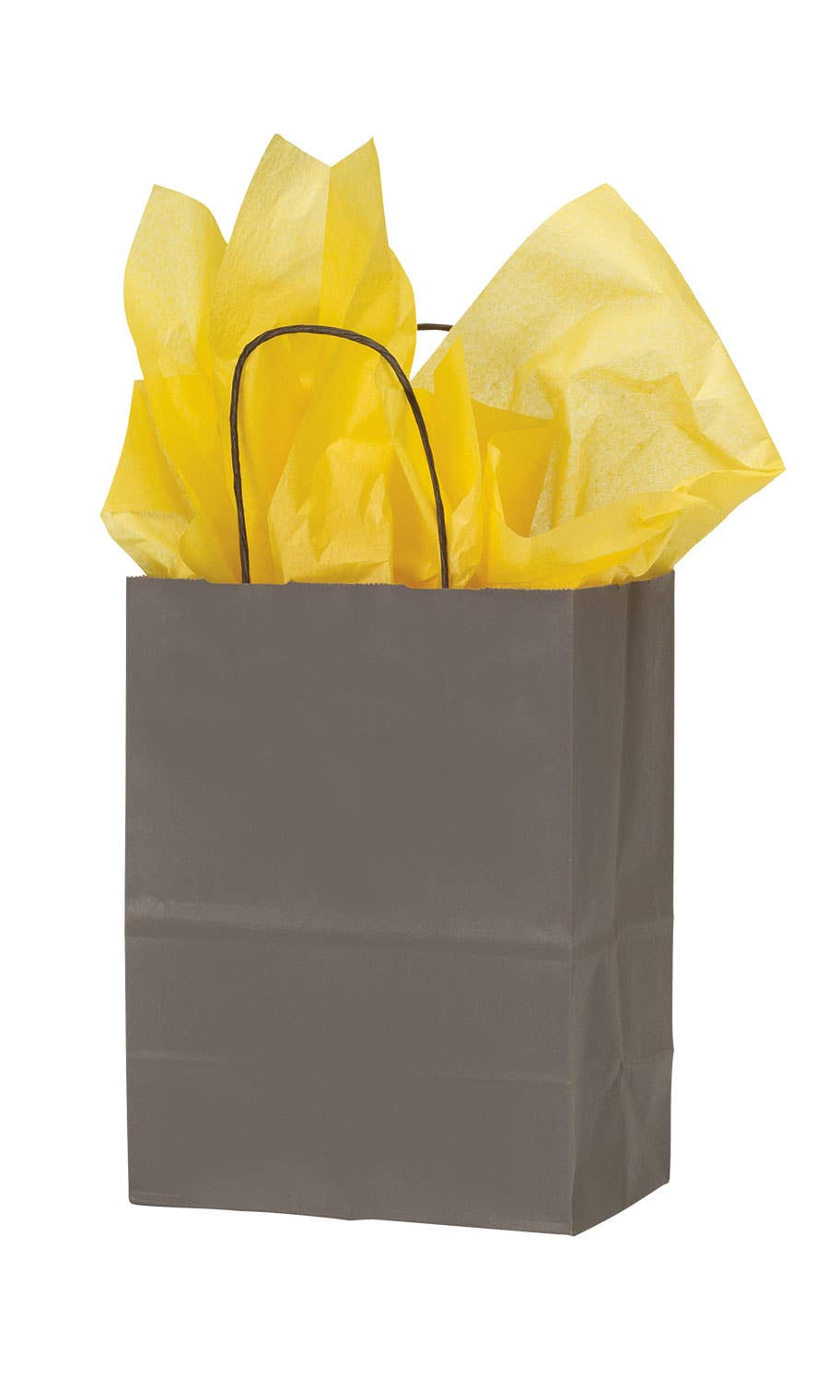Store Supply Warehouse - Wholesale Gift Bag - Colorful Kraft Paper Shopping Bags7