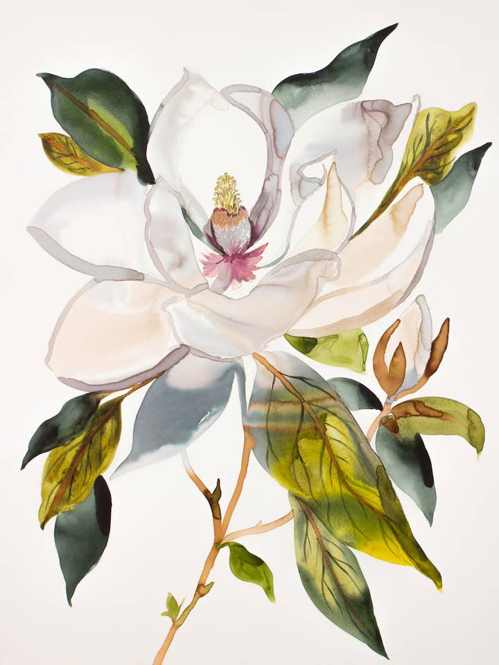 Magnolia nr. 66 for engroshandel hos Elizabeth Becker