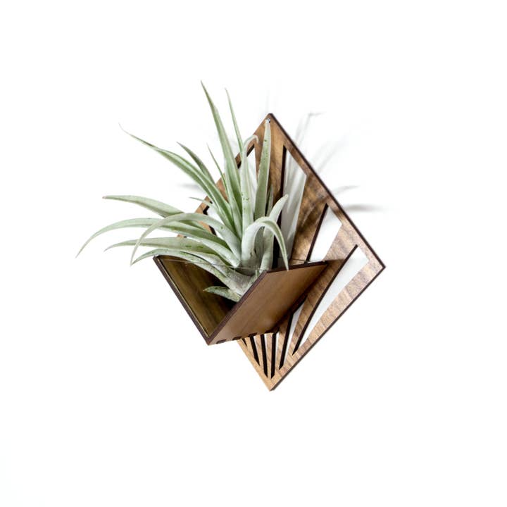 LIGHT RAZOR DESIGN STUDIO - Wholesale Wall planter - Air Plant Holder / Quadrate Wall Hanging Planter 231