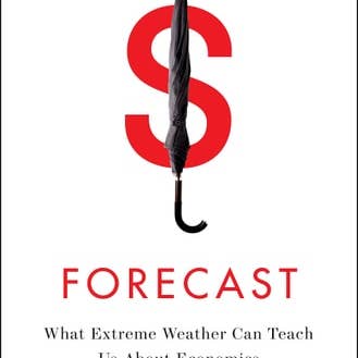 Boon Books - Wholesale Science & Math - Forecast Tpb Export Airside(shelfworn) by Mark Buchanan