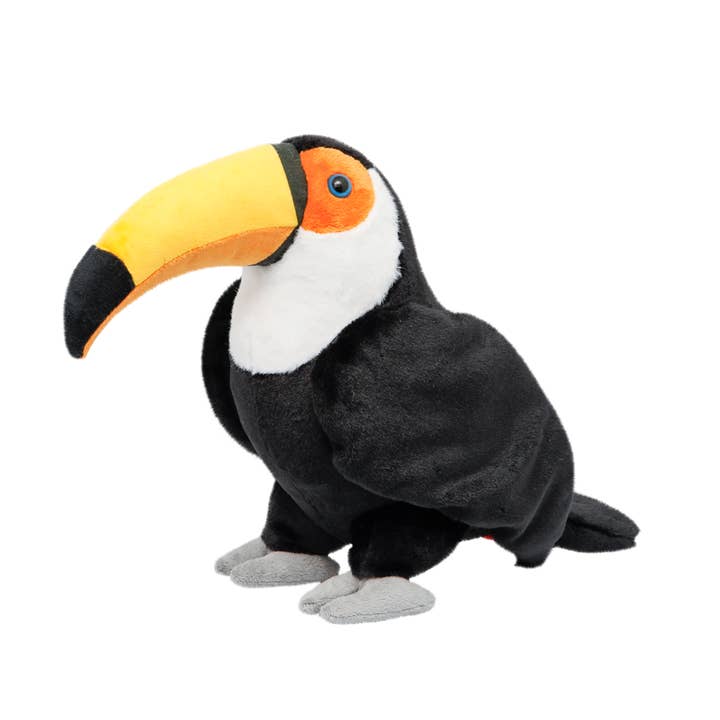 All About Nature Toucan for wholesale by Wild Planet