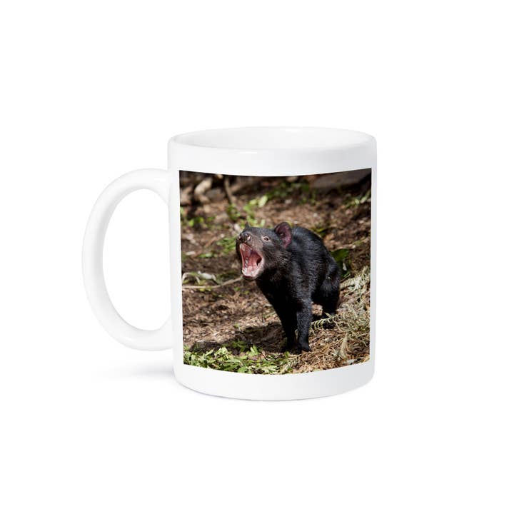 3dRose - Wholesale Coffee mug - 3dRose, Tasmanian Devil wildlife, Tasmania, Australia - AU01 MZW0088 - Martin Zwick, Mug8
