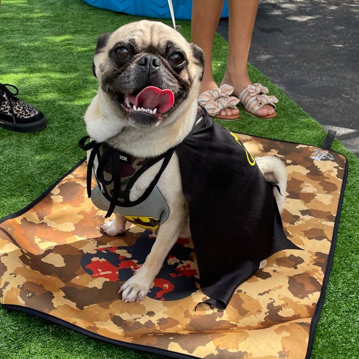 WagAround Town Dog Travel Mat- Medium 24"x28"/ Large 24"x36" for wholesale by Wag Around Town