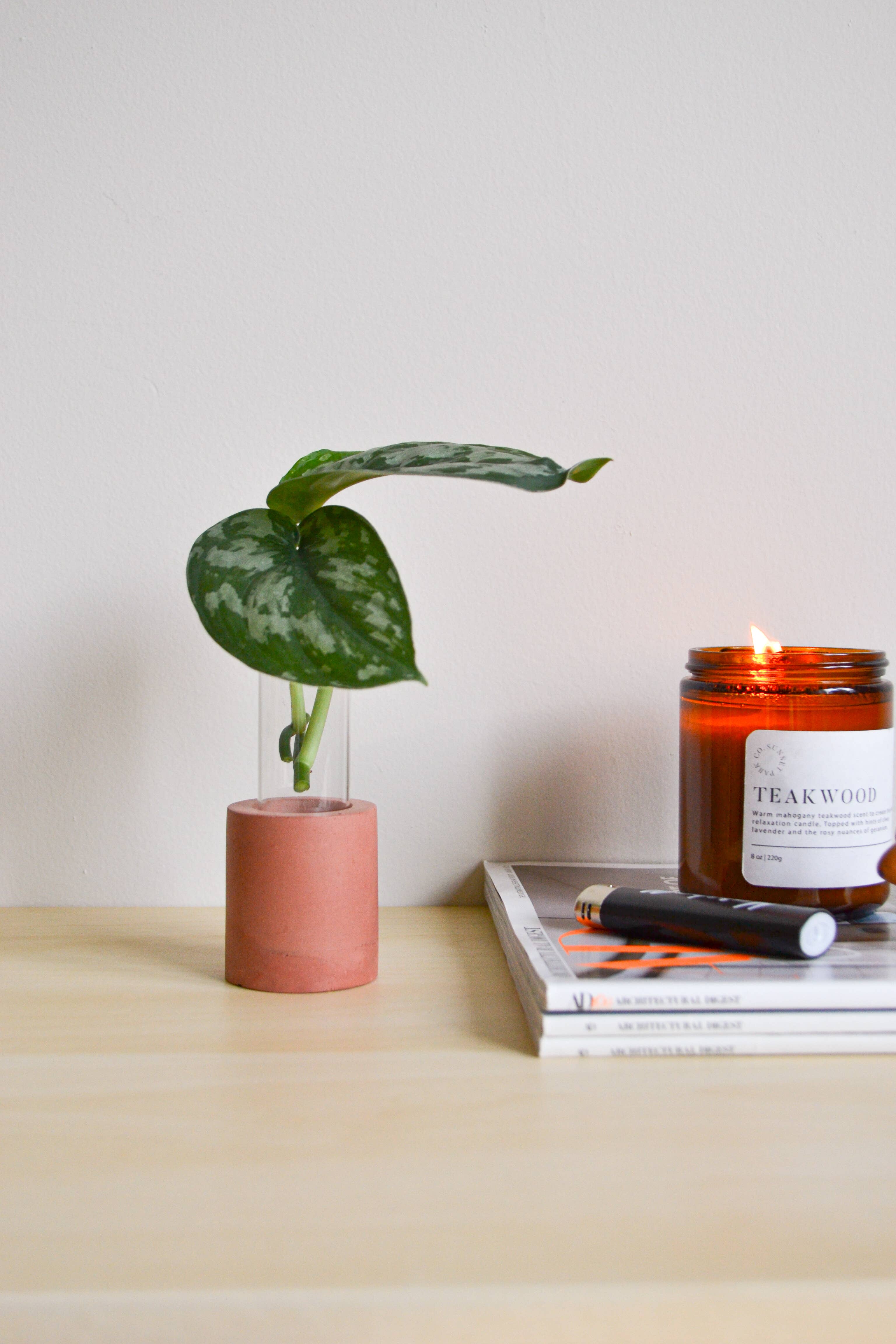 LindaMakess - Wholesale Vase - Single Concrete Plant Propagation Test tube Stand0