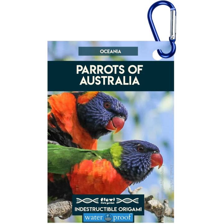 Parrots of Australia-Indestructible Origami for wholesale by Flexi Field Guides