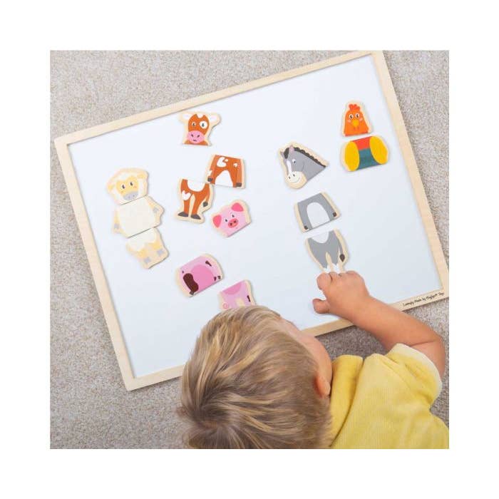 Mag-Play Mix-Ups - Feathered Friends for wholesale by Bigjigs Toys