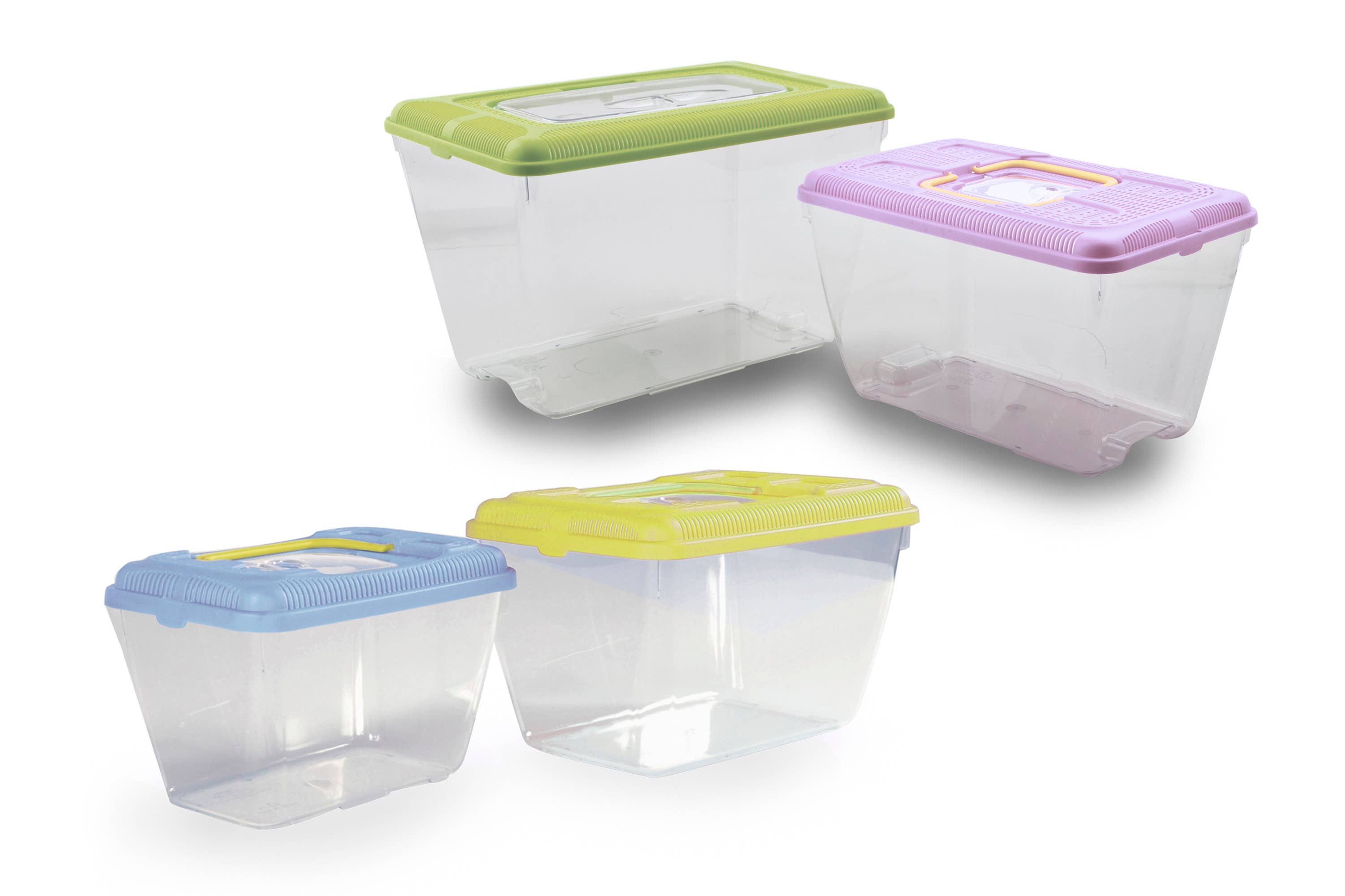 Assortments Animal Box Mini Fish for wholesale on Faire4