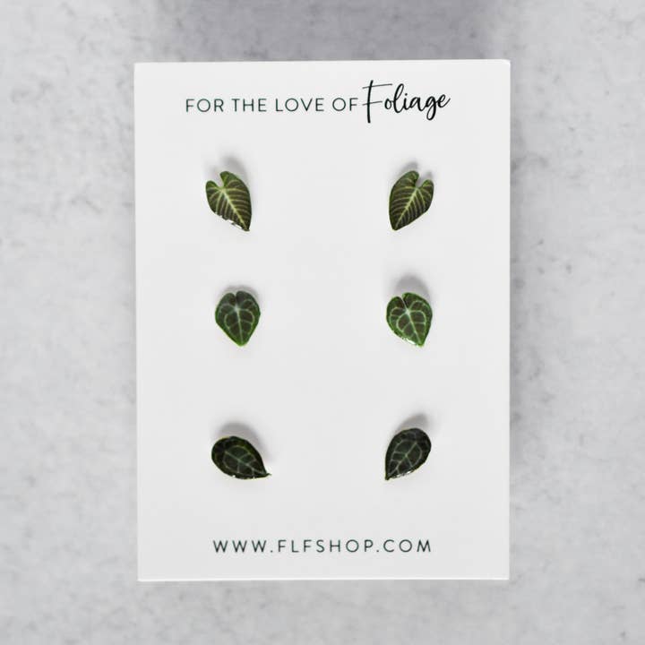 Anthurium Stud Earring 3-Pack | Leaf Earrings | Clarinervium | Regale | Forgetii for wholesale by For the Love of Foliage