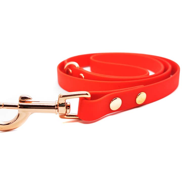 Red Biothane Dog Lead -Metal Fittings-Handmade for wholesale by Pet Pooch Boutique