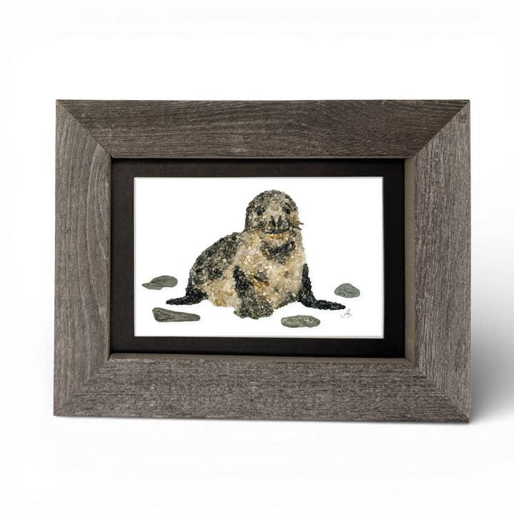 Seal 5x7 Print – Maine Made Repurposed Wood Frame for wholesale by Coastal art co.