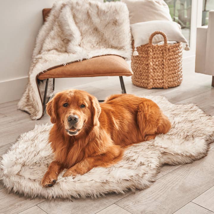 Paw Brands - Wholesale Pet Bed - Dog - PupRug by Paw.com™ Faux Fur Orthopedic Dog Bed - Curve White with Brown Accents7