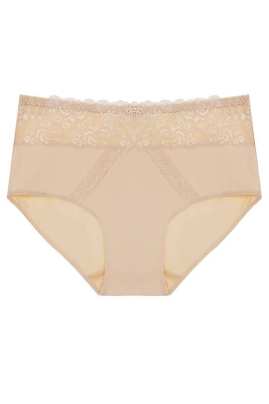 Assorted Color Dual Lace Panels Solid Full Brief-YM-70091-PTY-C04 for wholesale on Faire3