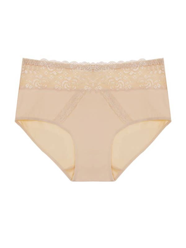 Assorted Color Dual Lace Panels Solid Full Brief-YM-70091-PTY-C04 for wholesale on Faire3