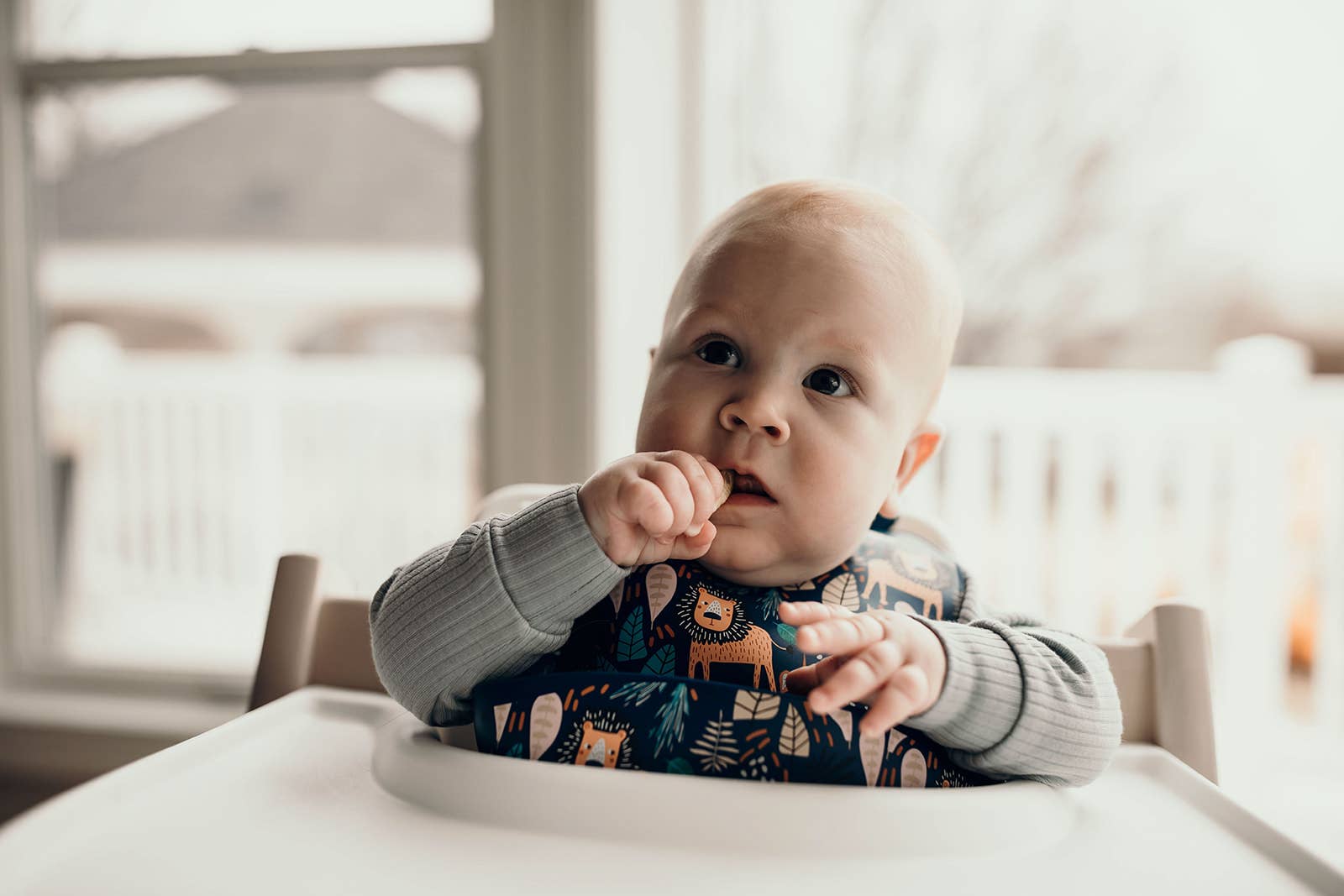 Three Little Tots - Wholesale Bib - Baby - Zoo Lion Print Silicone Bib with Crumb Catcher4