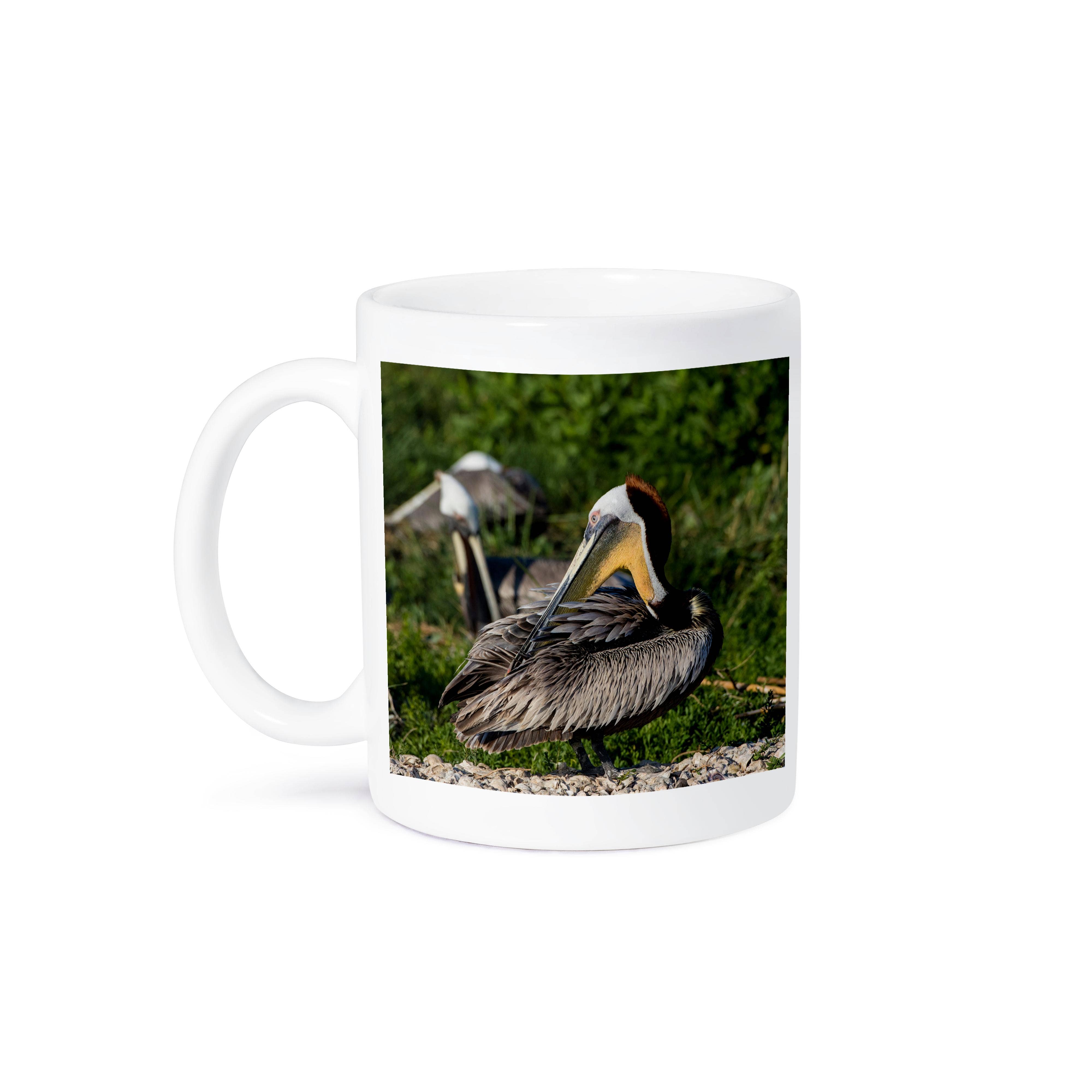 3dRose - Wholesale Coffee Mug - 3dRose, Brown Pelicans, Pelecanus occidentalis, preening., Mug8