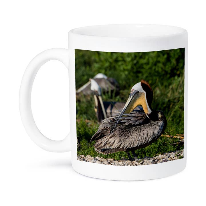 3dRose - Wholesale Coffee Mug - 3dRose, Brown Pelicans, Pelecanus occidentalis, preening., Mug8