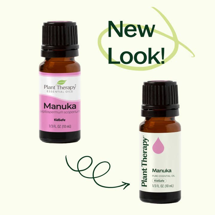 Plant Therapy - Venta al por mayor Aceite esencial - Aceite esencial de manuka 10 ml