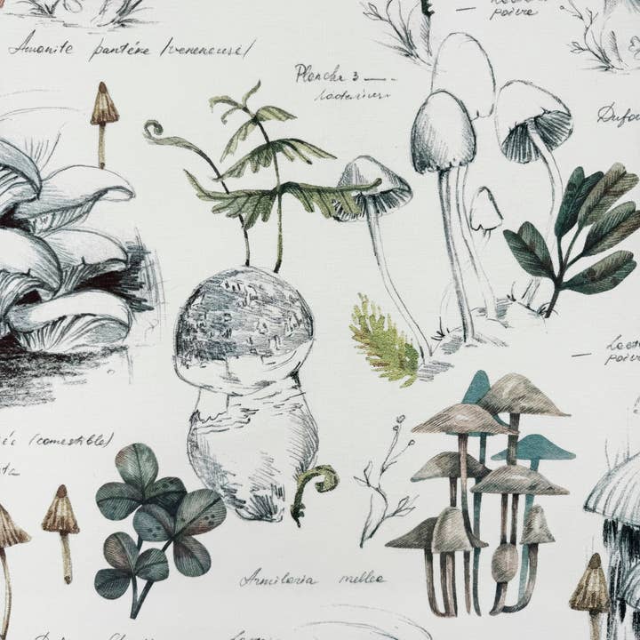 SG HOGAR - Wholesale Fabric - Laila 1 cotton cut fabric 280 cm wide