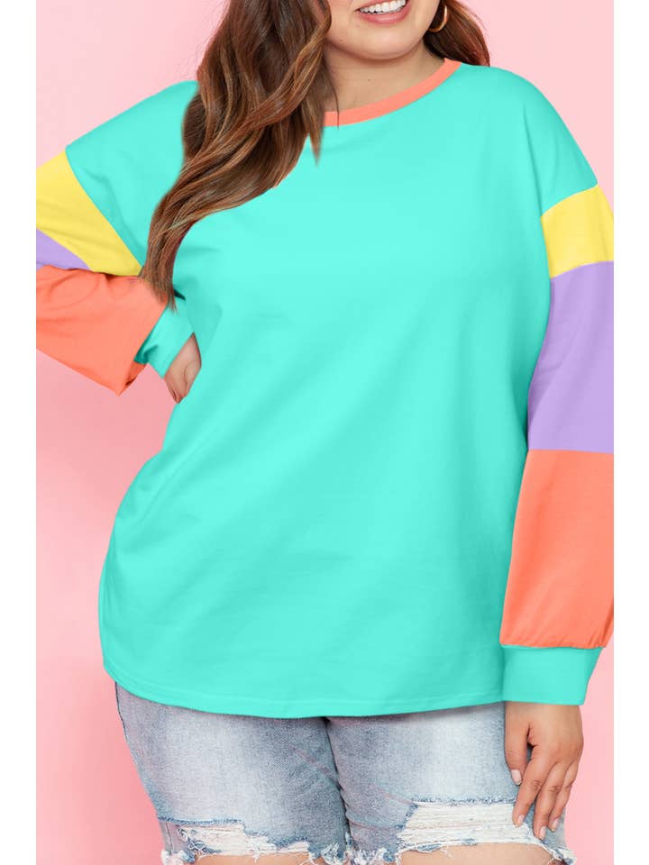66DISCO - Wholesale T-Shirt - Women's - Color Block Round Neck Long Sleeve T Shirt (S-2XL)