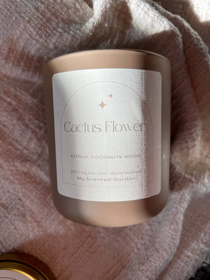 Cactus Flower for wholesale by My Scented Garden