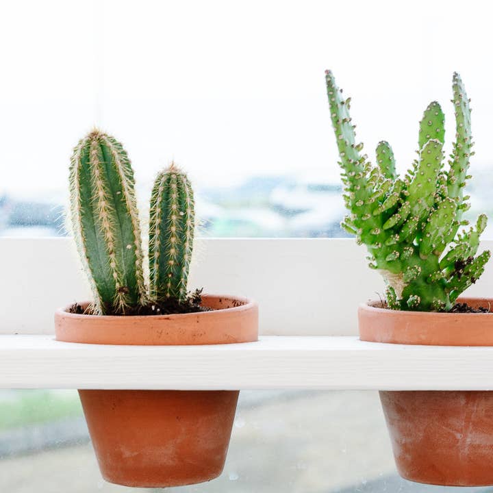 Balkonbar – Engroshandel Hængende plantekasse – Balkonbar hængende have i hvidvask7