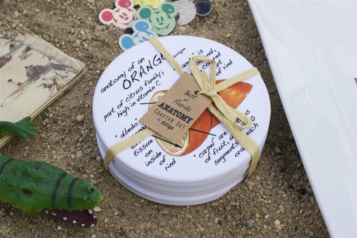 Dishique - Wholesale Coasters - Florida Anatomy Coasters1