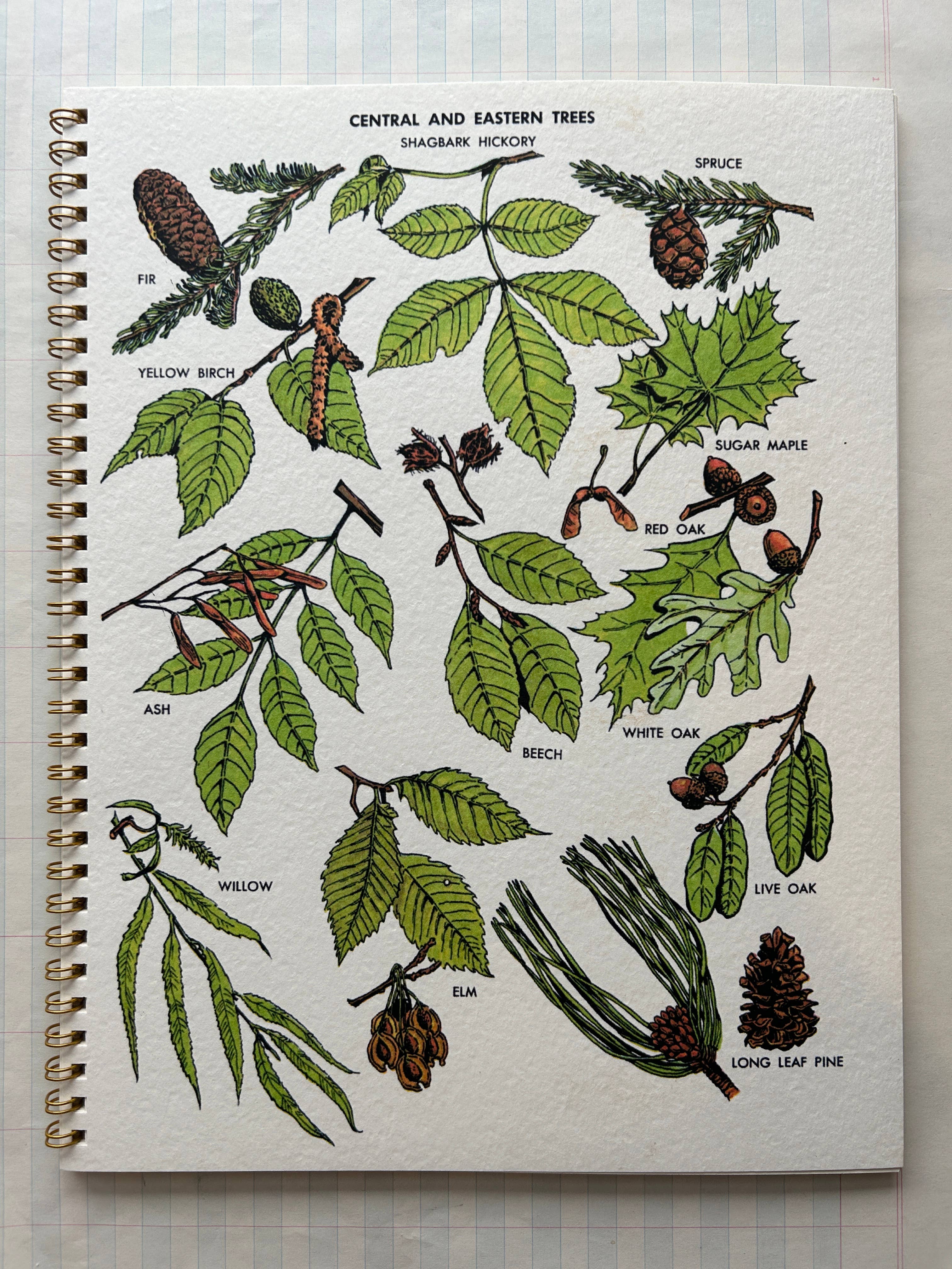 Parcel - Wholesale Notebook - Nature Guides Notebook 4