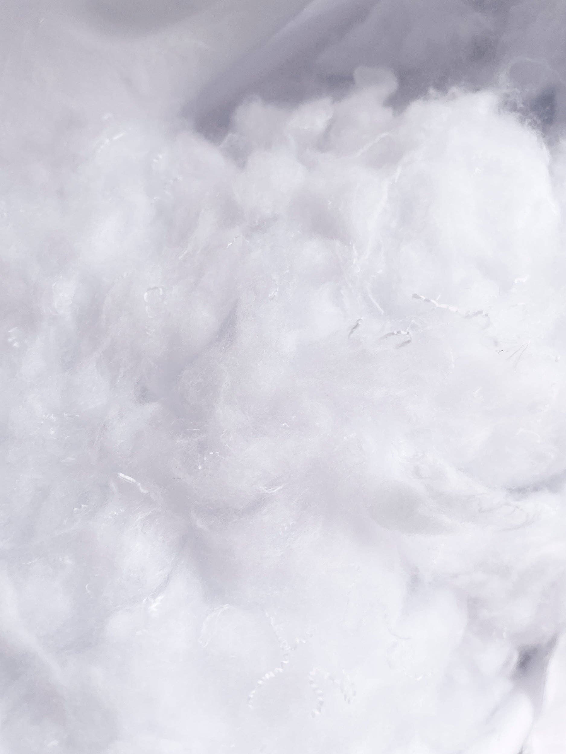 Anaya Home - Wholesale Pillow Insert - Dutch Euro Pillow Insert 28x361