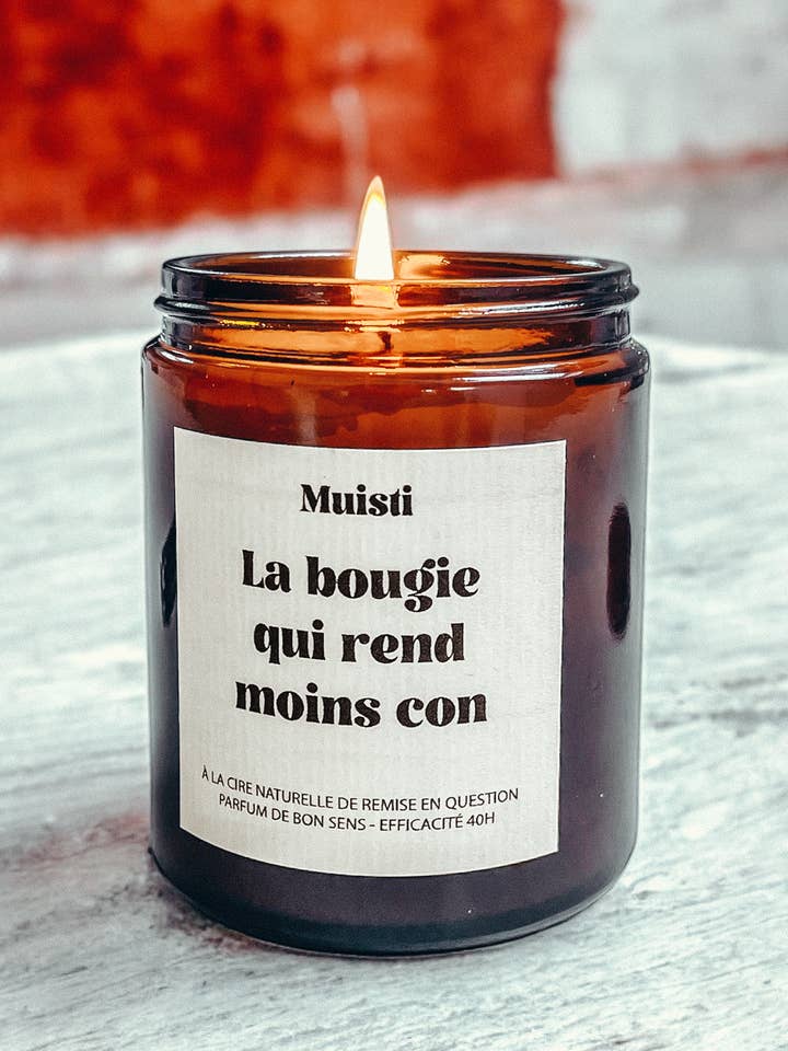Scented Candle - The candle that makes you less stupid for wholesale by Muisti