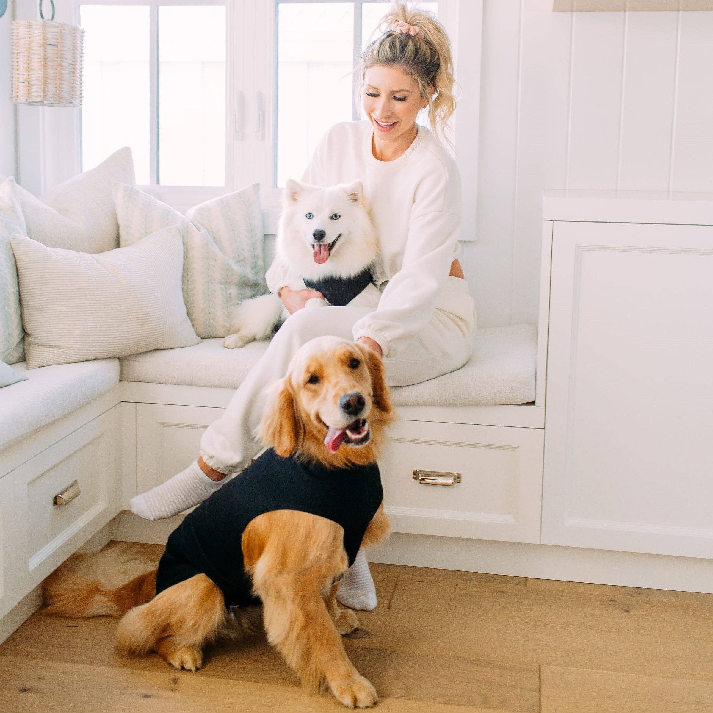 Shed Defender - Wholesale Pet Bodysuit - Cat/Dog - Shed Defender Post Surgery Recovery Suit for Dogs7