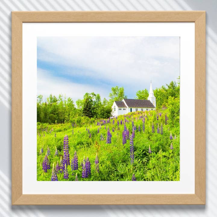 Fine Art Giclee Print - Lupines in Sugar Hill, New Hampshire for wholesale by Natalie’s Art