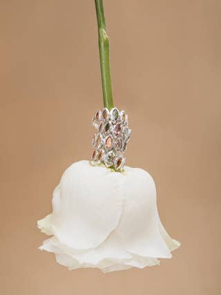 Bradleigh Ring in Zilver voor wholesale door June and Valentina