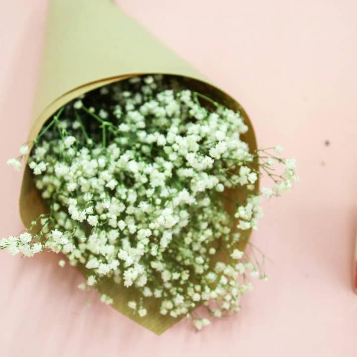 Wildestdreams.flowers - Wholesale Dried/pressed flowers - Fresh White Gypsophila - Baby's Breath Flowers 2