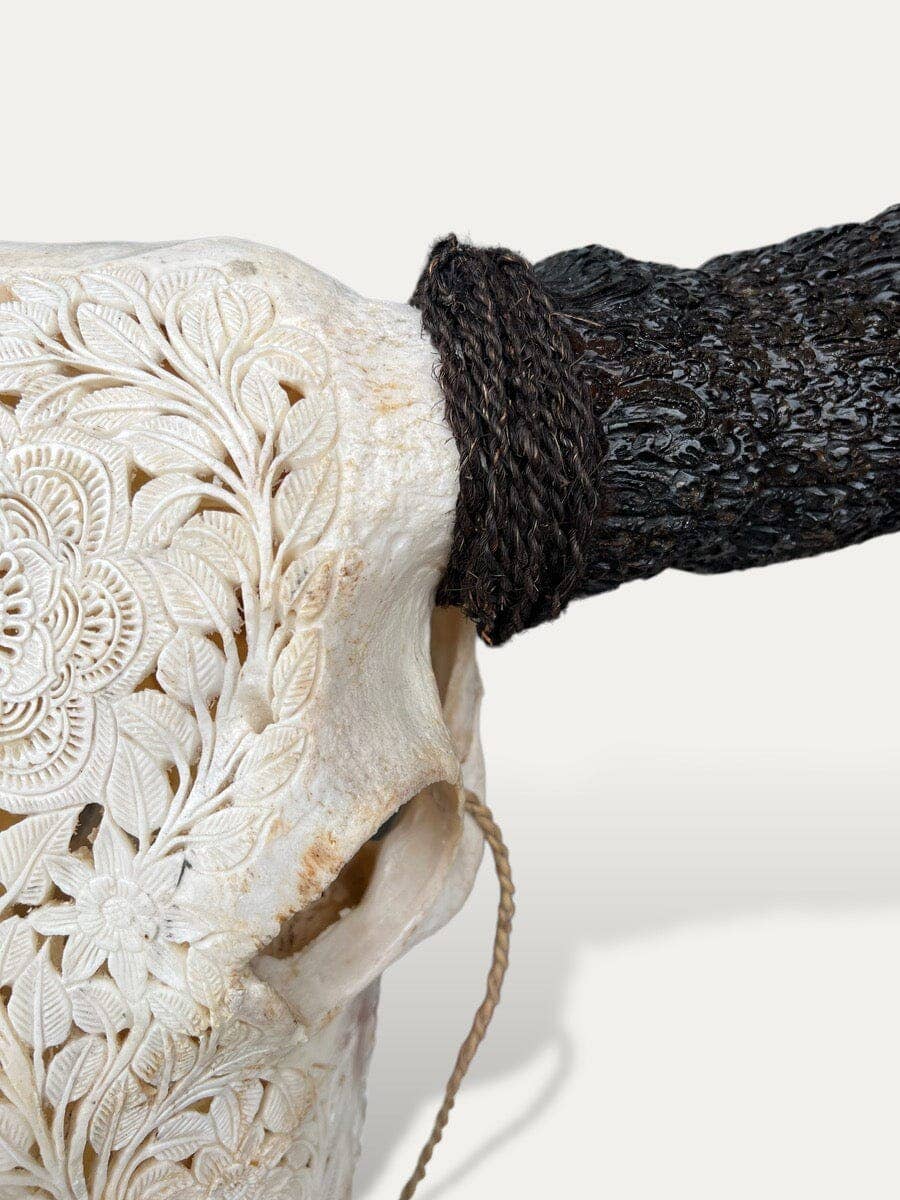 White bone Buffalo skull with carved horns - Sakti for wholesale on Faire2