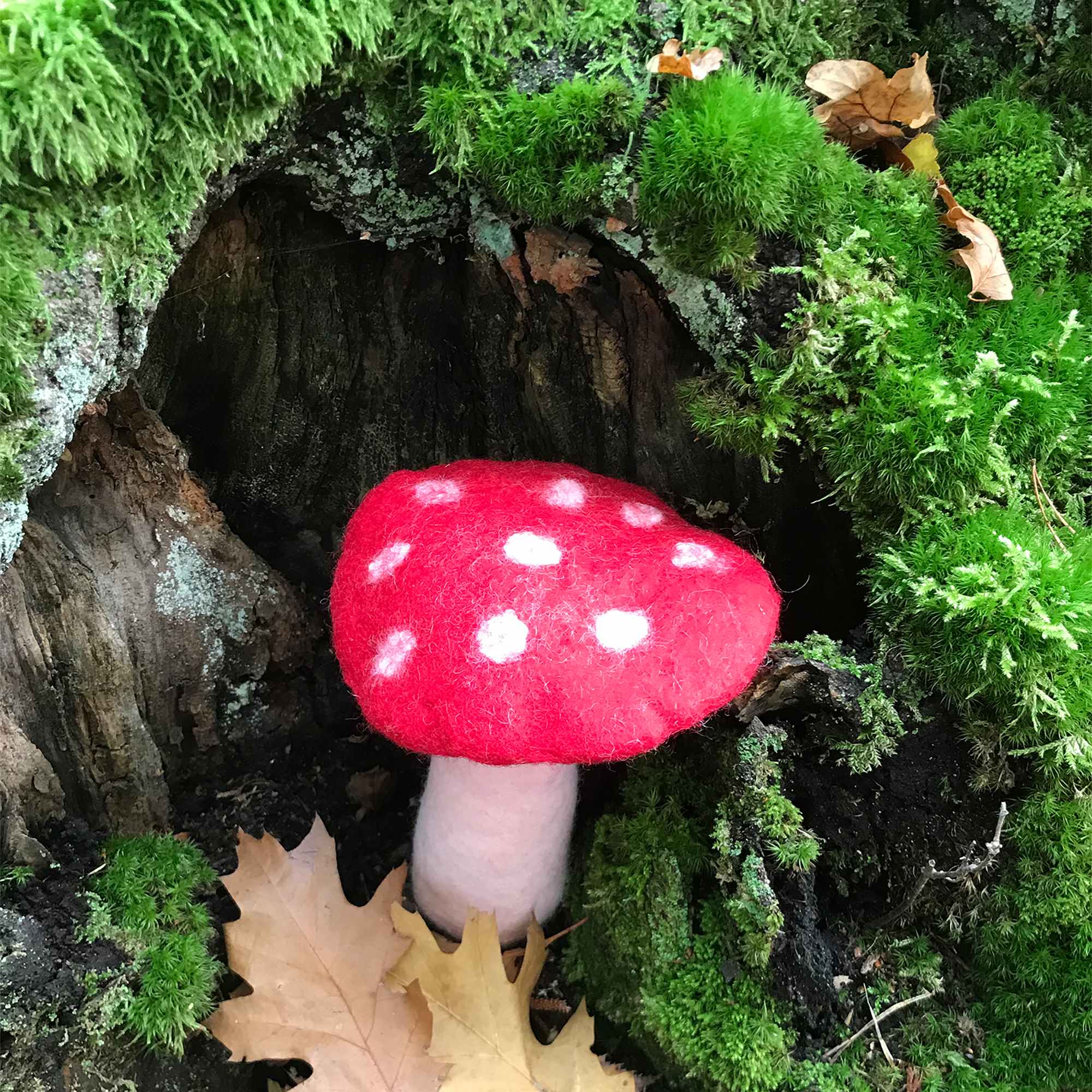 Tribal Trade GmbH - Vendita all'ingrosso Statuette decorative - Fungo amanita muscaria in feltro rosso, disponibile in 3 dimensioni19