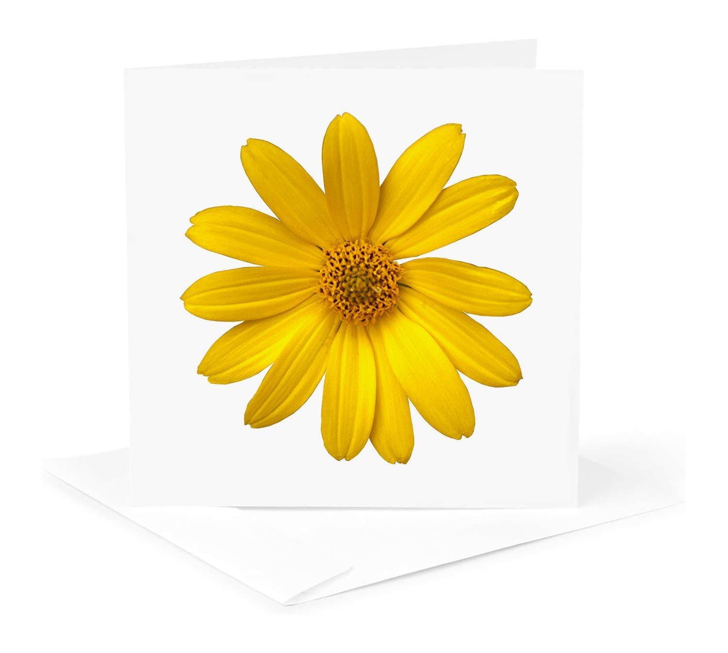 3dRose – wholesale Everyday greeting card – 3dRose, Yellow Daisy Petals Pretty Summer Floral Photo, Greeting Card0