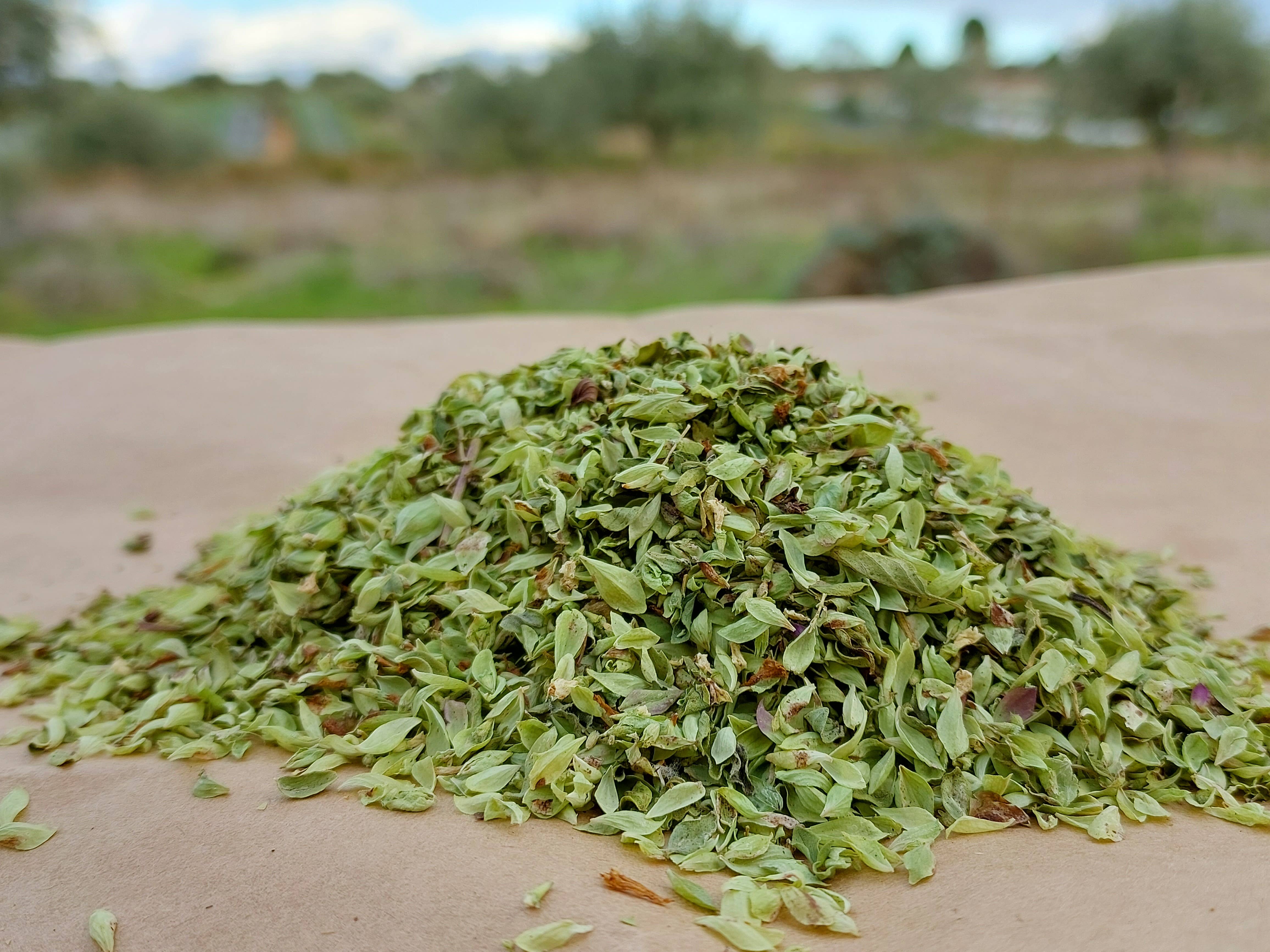 Ervas da Zoé – Großhandel Kräuter – 85. Würzkraut „Oreganoblatt“ Bio 12 g1