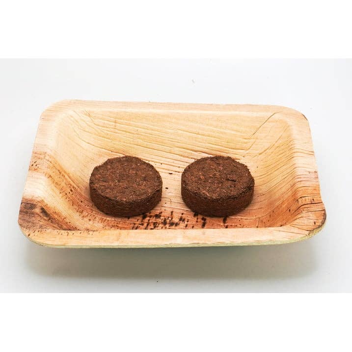 Creator Wellness - Wholesale Plant Seeds - Radish Microgreen Growing Kit, Quick Harvest in 10 Days2