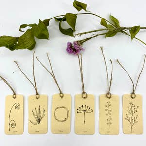 Amala Sunshine 4x6 Seed Paper Note Cards (Set of 6) - Plantable – Matr  Boomie Wholesale