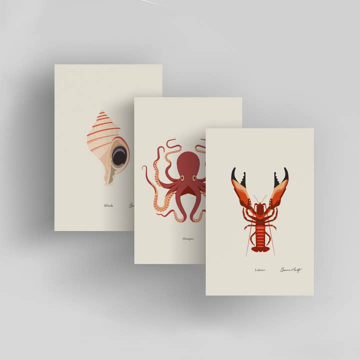 15 Molluschi e Crostacei / Small Art Prints per la vendita all'ingrosso da parte di Addvent Italy
