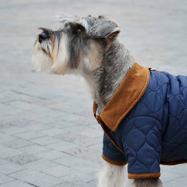 ARISTOPET - Wholesale Pet Jacket - Dog - SPENCER JACKET4