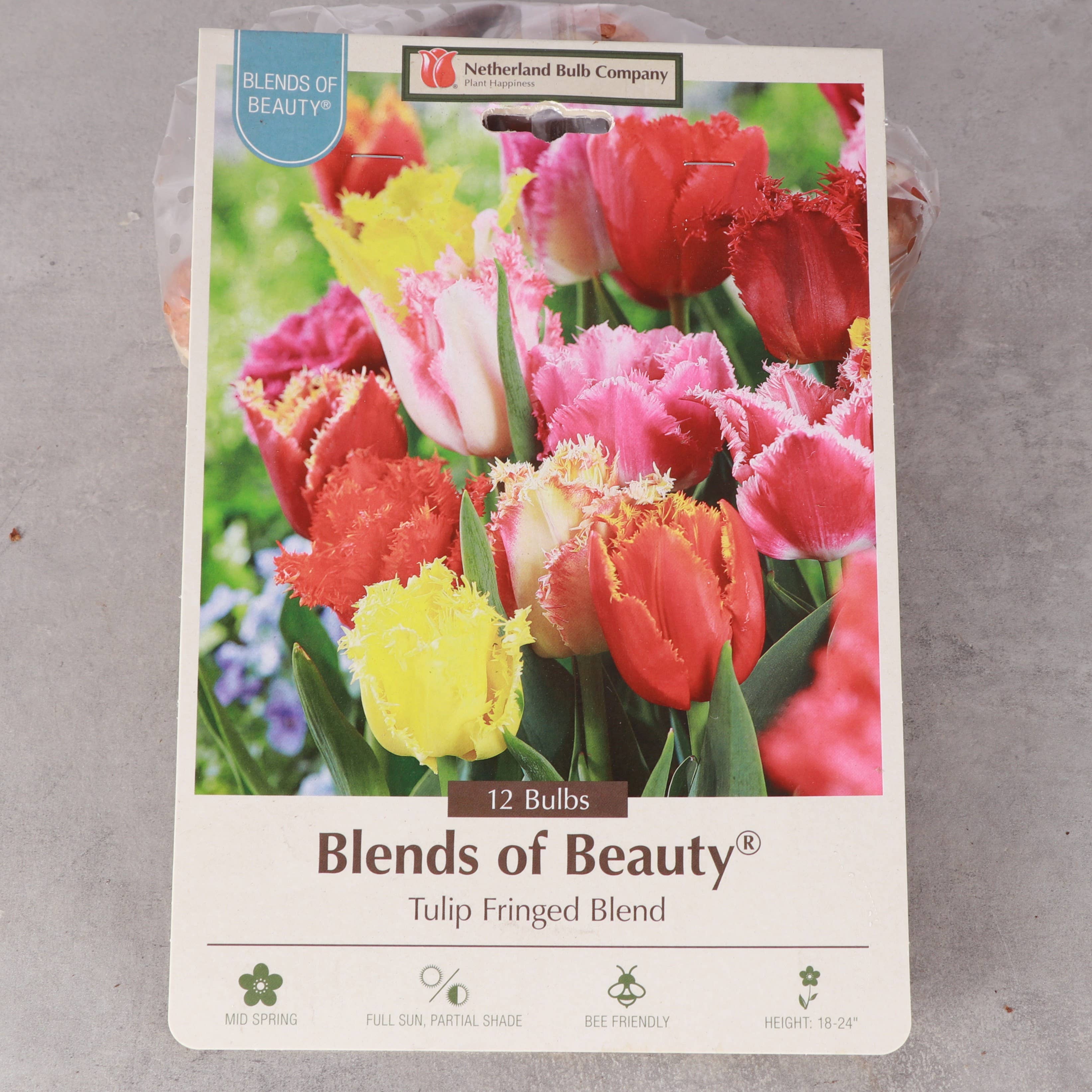 Thorsen's Greenhouse - Vente Plante - Bulbes de tulipes - Mélanges uniques - Vivaces7