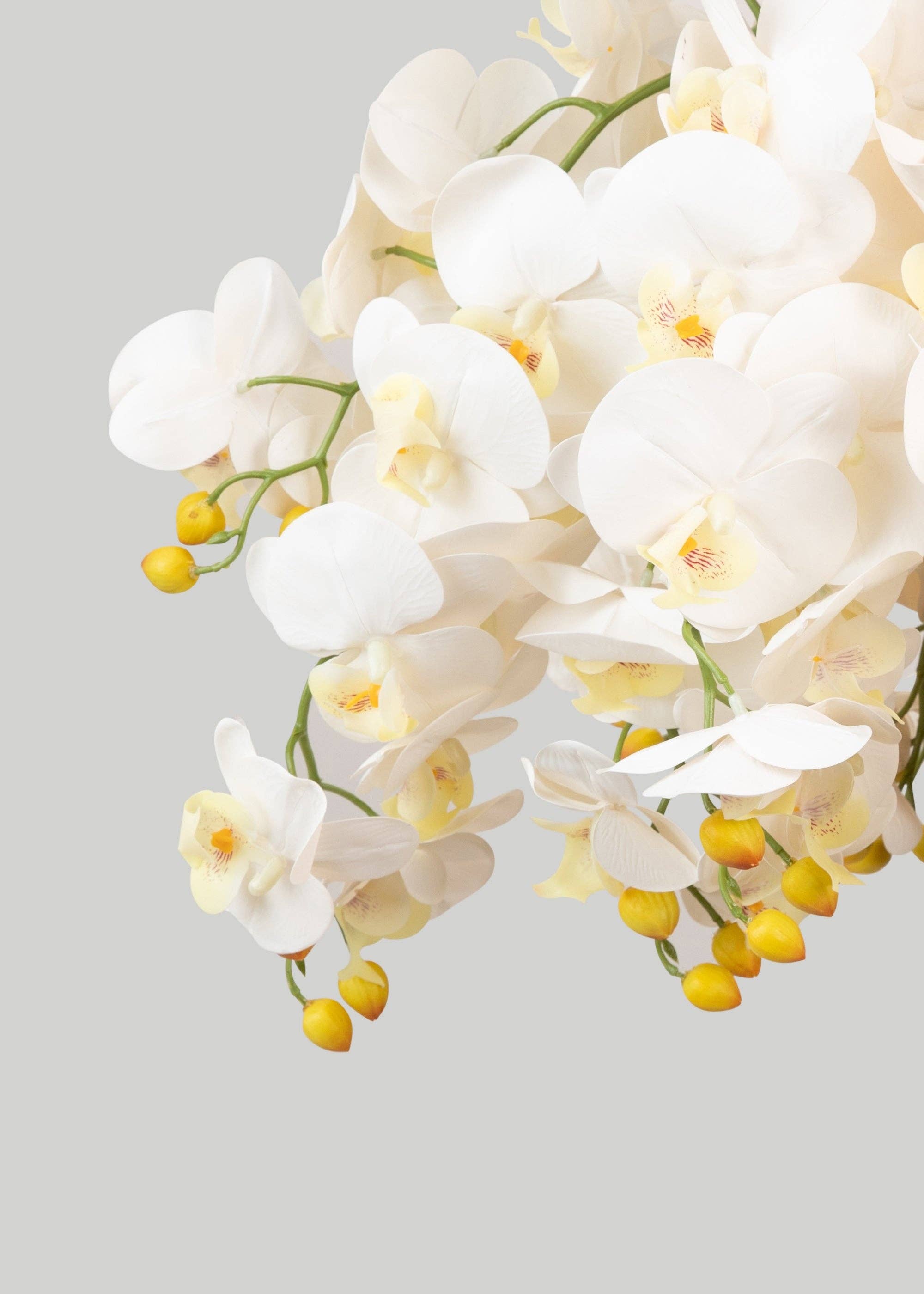 Afloral - Wholesale Artificial Flowers - Case of 48 Stems - Faux Real Touch Orchids in White - 36"3