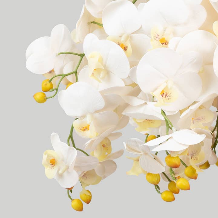 Afloral - Wholesale Artificial Flowers - Case of 48 Stems - Faux Real Touch Orchids in White - 36"3