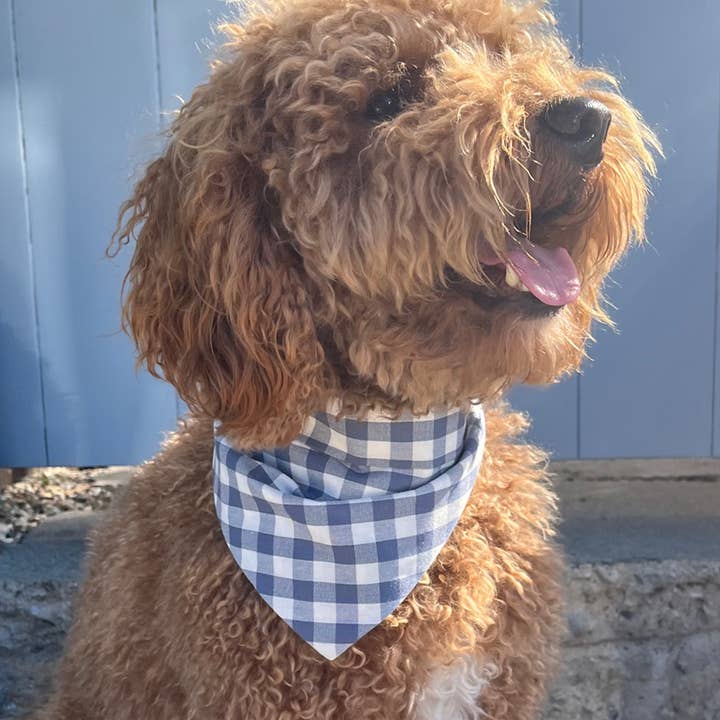 MODERNBEAST - Wholesale Pet Bandana - Dog - SPRING GINGHAM BANDANAS (Options Available)