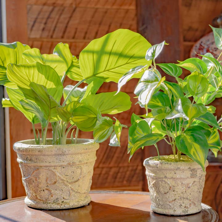 Zaer Ltd. International - Wholesale Plant Pot - 2 Assorted Tuscan Style Round Ceramic Flower Pots
