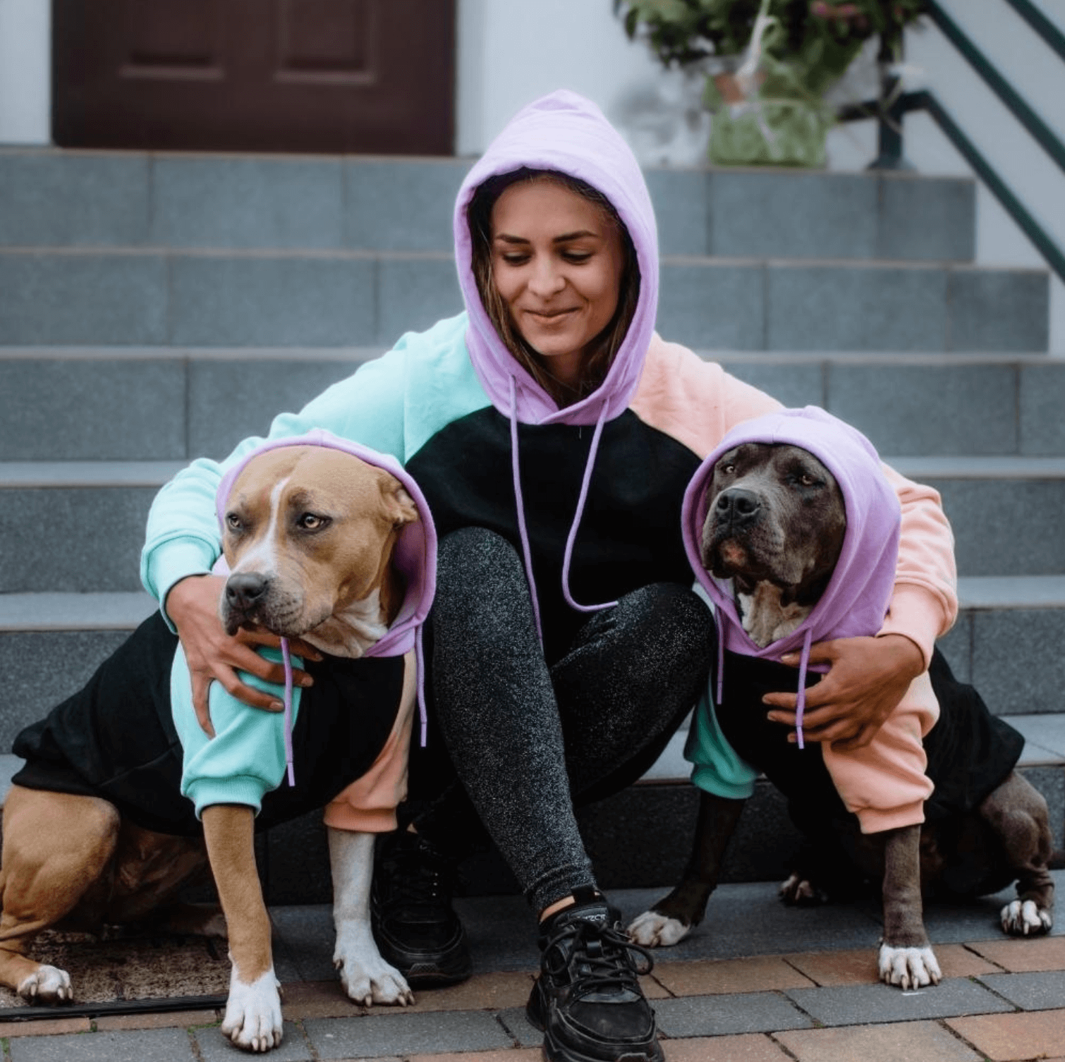 Spark Paws - Wholesale Pet Hoodie - Dog - Cyber Punk Dog Hoodie7