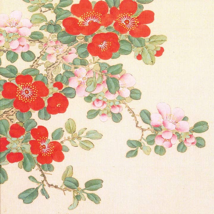 CATCH 12X12 DOUBLE CARDS SNC 48347 for wholesale by Phenicia