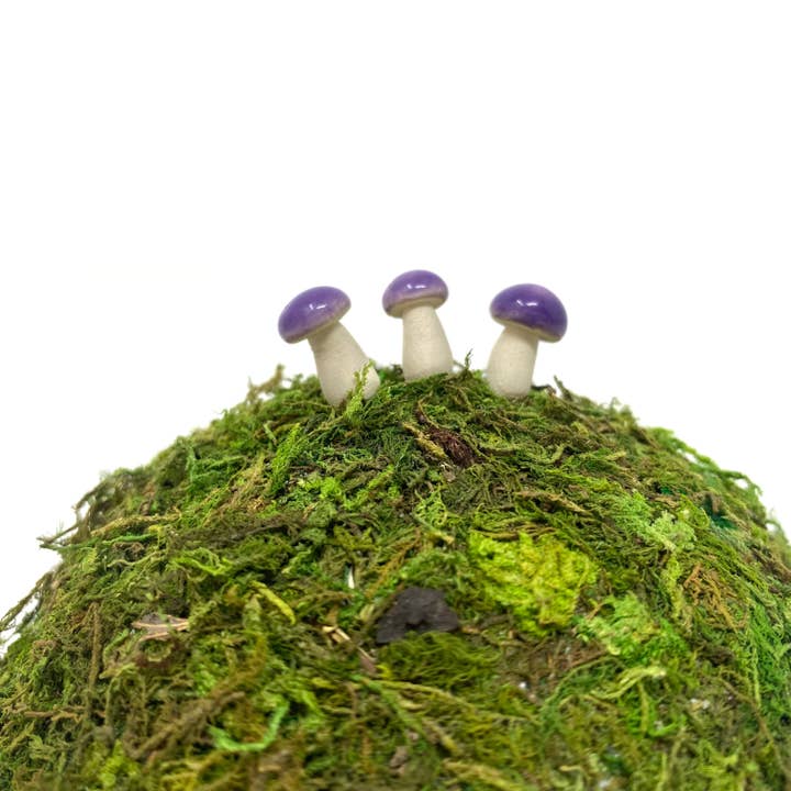 Handpicked Ceramics - Wholesale Decorative Tabletop Object - Micro Ceramic Mushrooms9